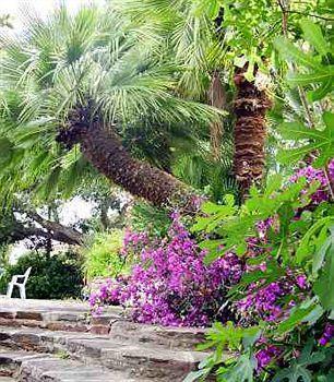 Hotel Paradis Bormes-les-Mimosas