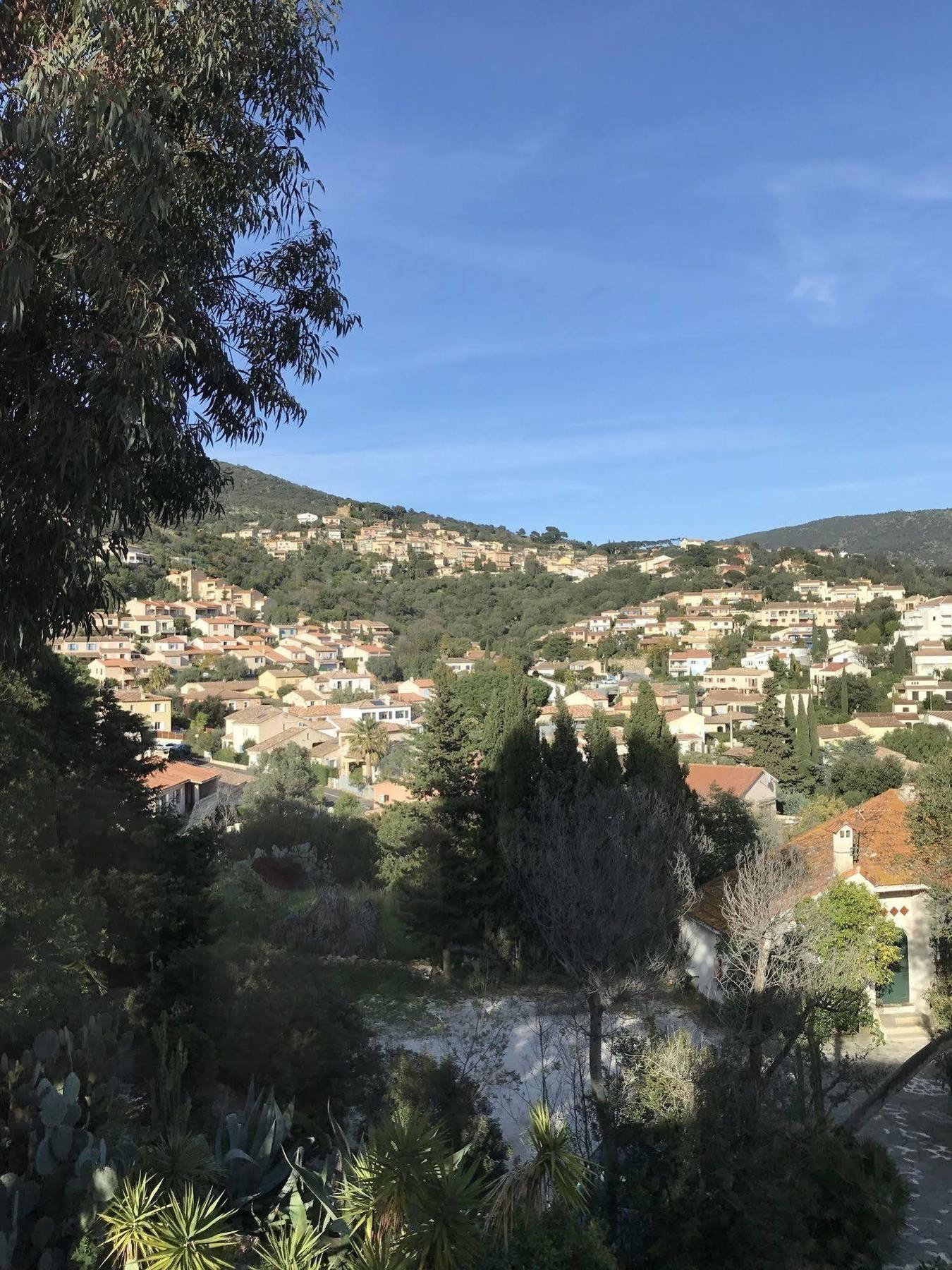 Paradis Bormes-les-Mimosas
