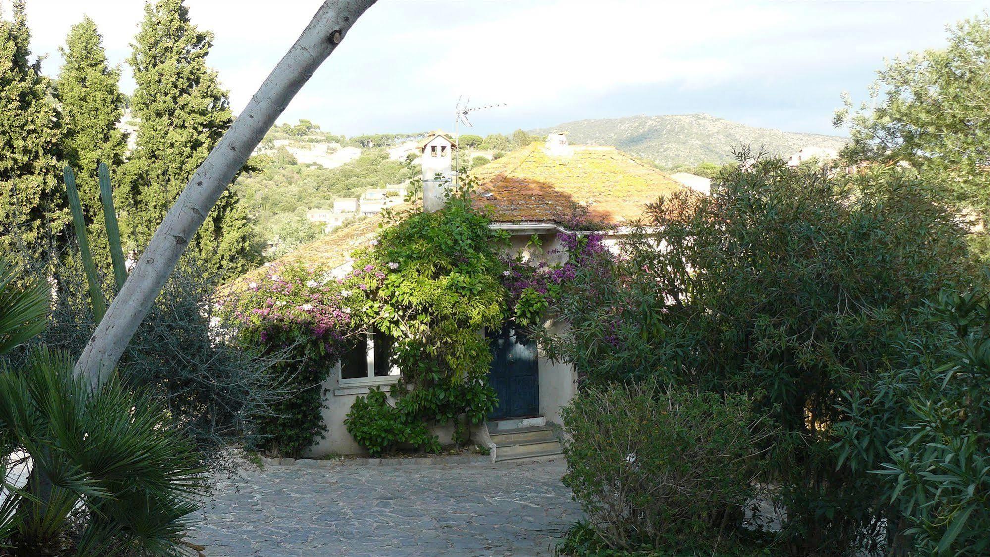 Paradis Bormes-les-Mimosas