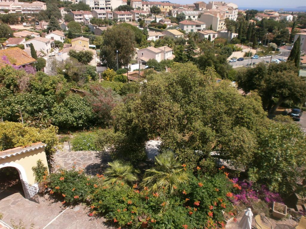 Paradis 2*